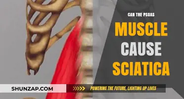 Unlocking the Psoas-Sciatica Link: Understanding the Root Cause