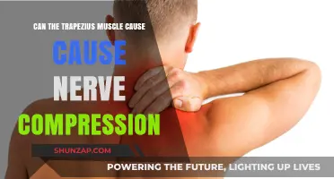 Trapezius Muscle: Nerve Compression Culprit?