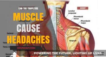 Trapezius Muscle Tension: A Headache Trigger?