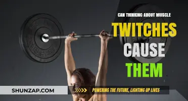 Thinking and Twitching: The Mind-Muscle Connection
