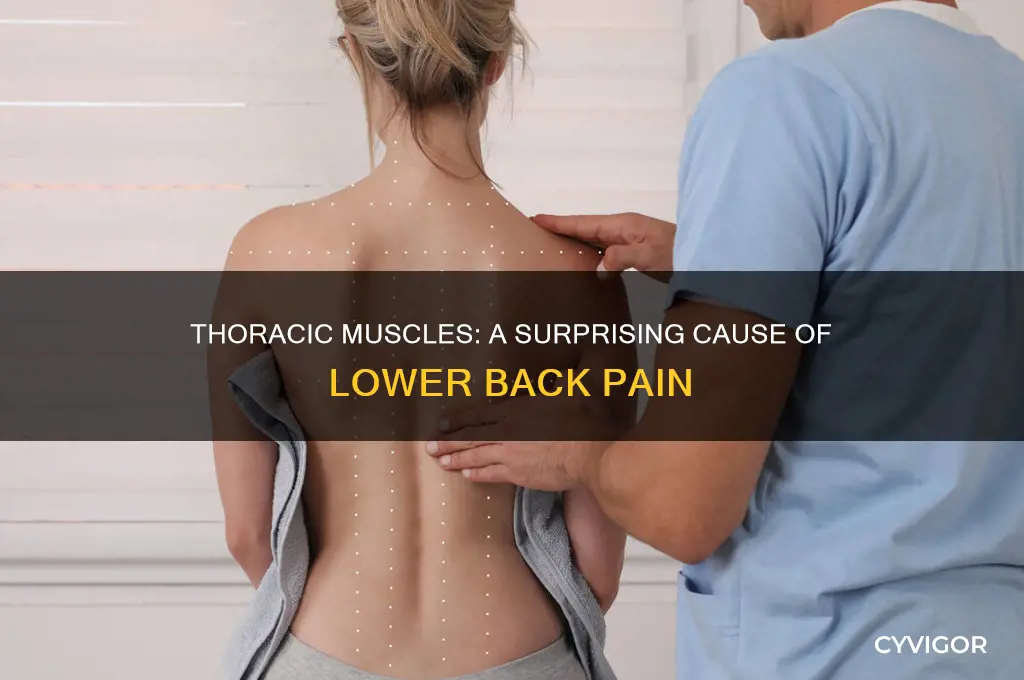 can thoracic muscles cause lower back pain