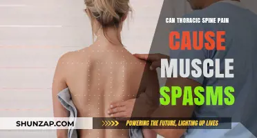 Thoracic Spine Pain: The Muscle Spasm Connection