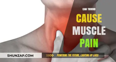 Thyroid Disorders: Understanding Muscle Pain Causes