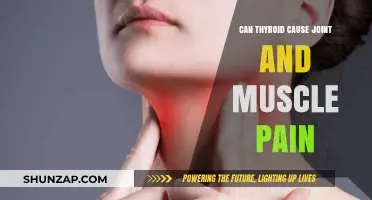 Thyroid Disorders: Joint and Muscle Pain Explained