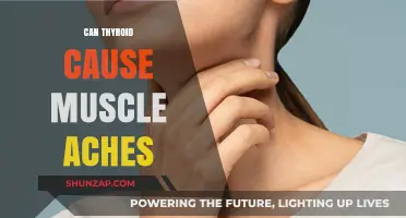 Thyroid Disorders: Muscle Aches and Pains Explained