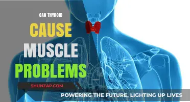 Thyroid Disorders: Muscle Problems and Solutions