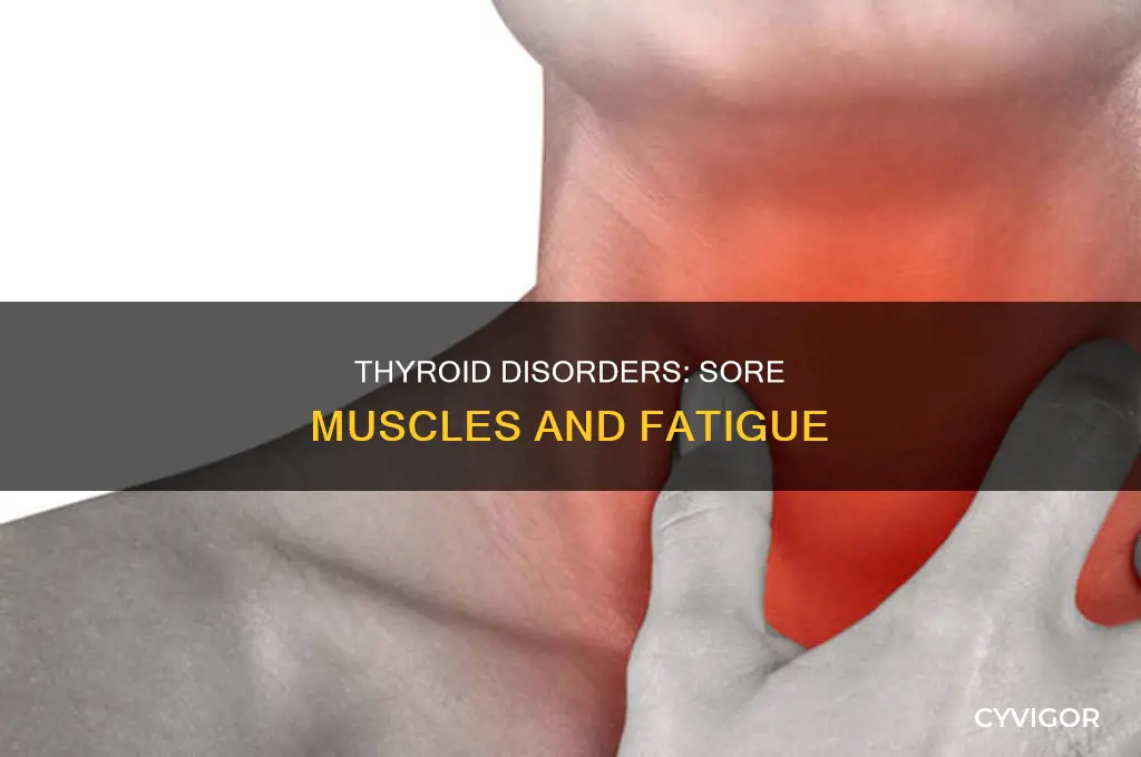 can thyroid cause sore muscles