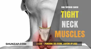 Thyroid Disorders: The Link to Neck Muscle Tightness