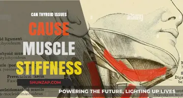 Thyroid Disorders: Muscle Stiffness and Pain Explained