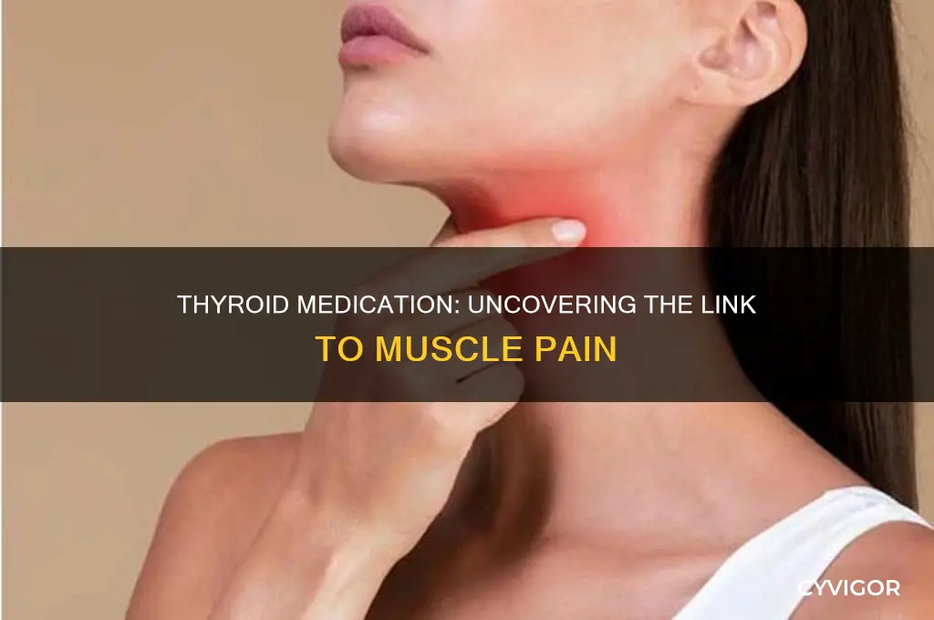 can thyroid medication cause muscle pain
