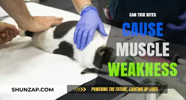 Tick Bites: A Cause of Muscle Weakness?