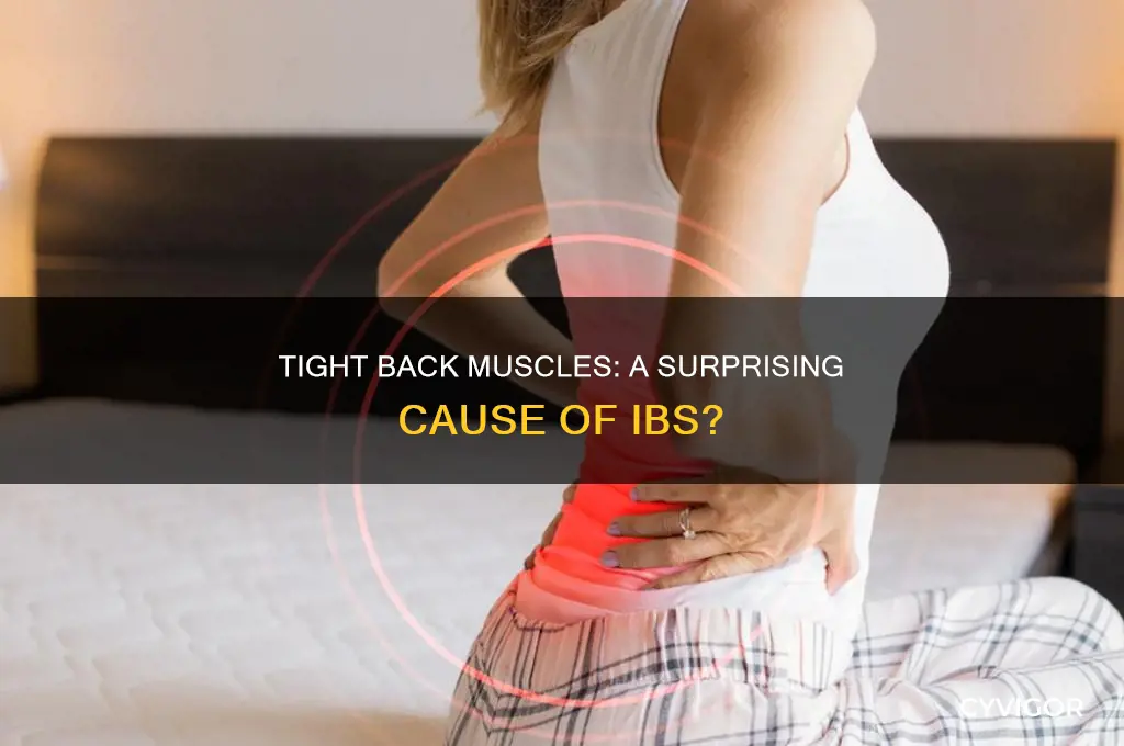 can tigh back muscles cause ibs
