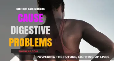 Back Muscle Tension: A Surprising Cause of Digestive Issues