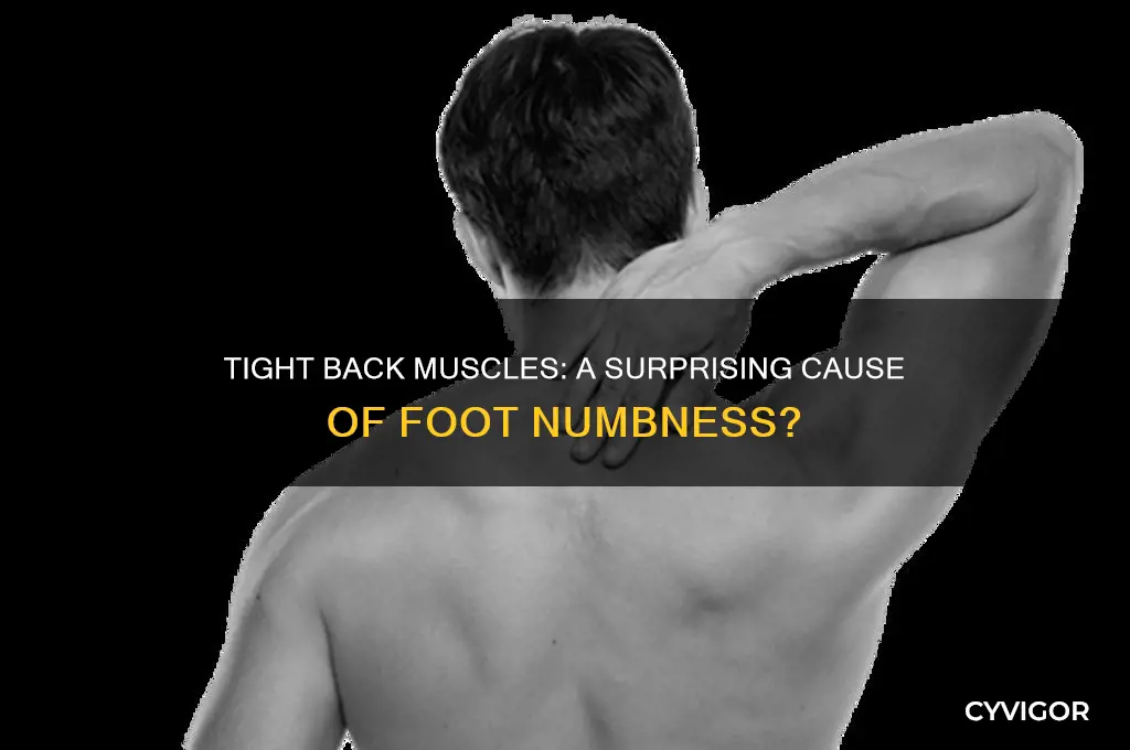 can tight back muscles cause foot numbness