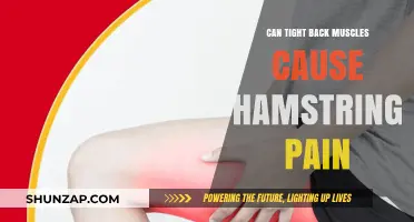 Tight Back Muscles: A Cause of Hamstring Pain?