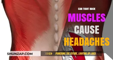 Tight Back Muscles: A Surprising Cause of Headaches