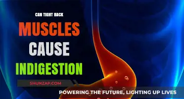 Tight Back Muscles: A Surprising Cause of Indigestion?