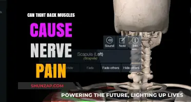 Tight Back Muscles: A Nerve Pain Trigger?
