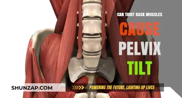 Tight Back Muscles: A Cause of Pelvic Tilt?