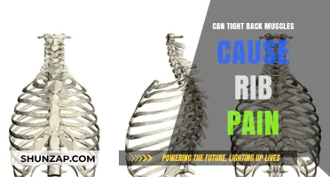 Back Muscle and Rib Pain: What's the Connection?