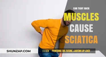 Tight Back Muscles: A Cause of Sciatica?