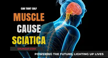 Tight Calf Muscles: A Surprising Cause of Sciatica Pain?