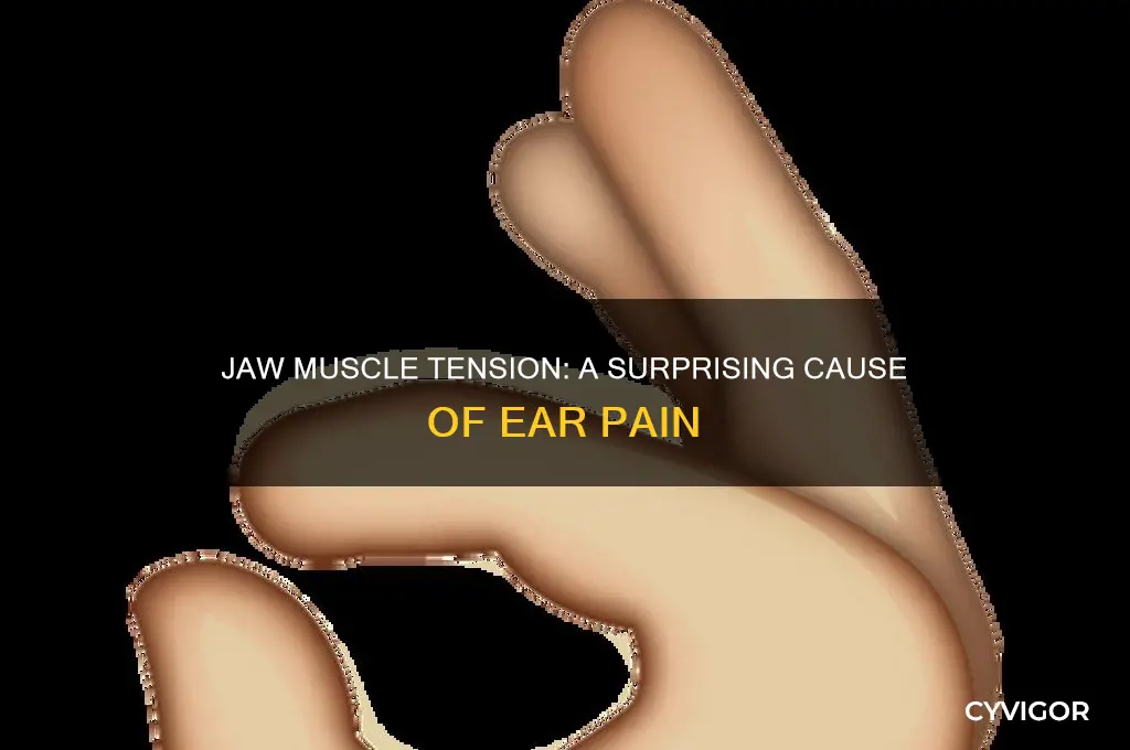 can tight jaw muscles cause ear pain