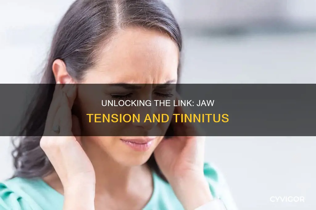 can tight jaw muscles cause tinnitus