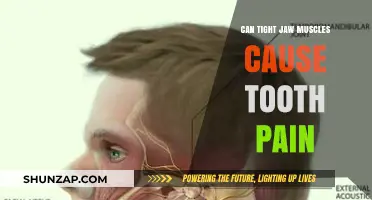 Jaw Muscle Tension: A Surprising Cause of Tooth Pain?