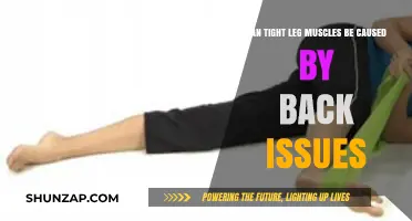 Back Issues: How They Cause Tight Leg Muscles