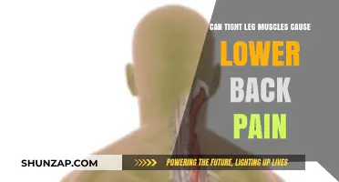 Tight Leg Muscles: A Culprit of Lower Back Pain?