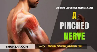 Tight Lower Back Muscles: A Pinched Nerve Culprit?