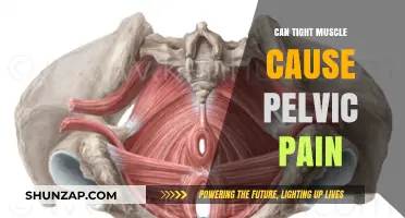 Tight Muscles: A Surprising Cause of Pelvic Pain