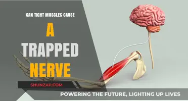 Tight Muscles and Trapped Nerves: What's the Link?