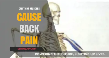 Tight Muscles: A Culprit of Back Pain?