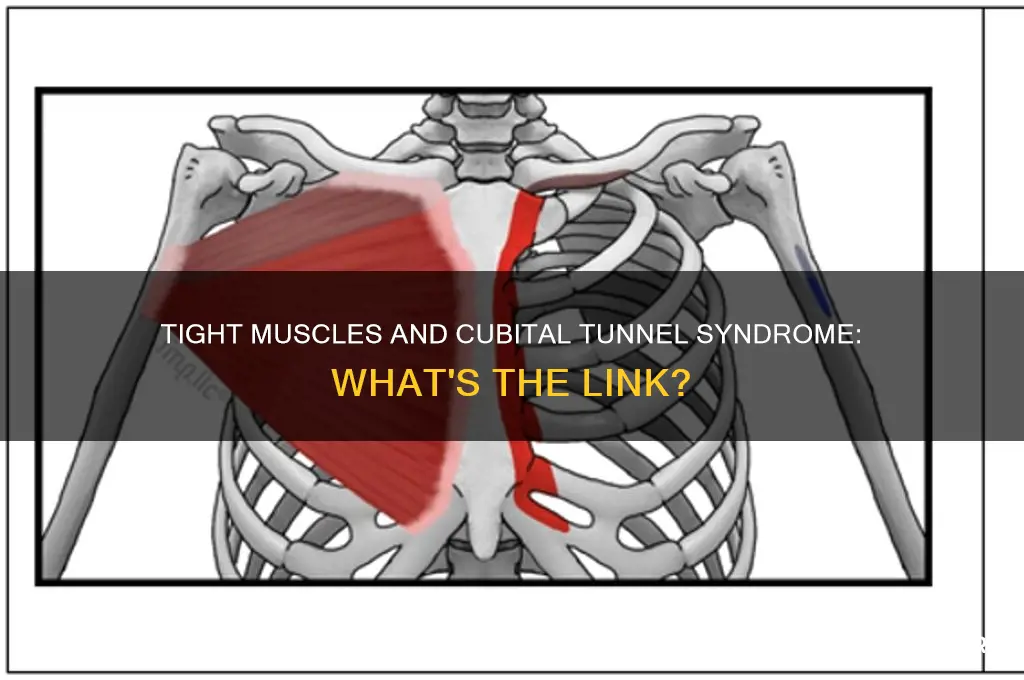 can tight muscles cause cubital tunnel syndrome