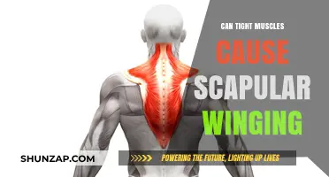 Tight Muscles and Scapular Winging: What's the Link?