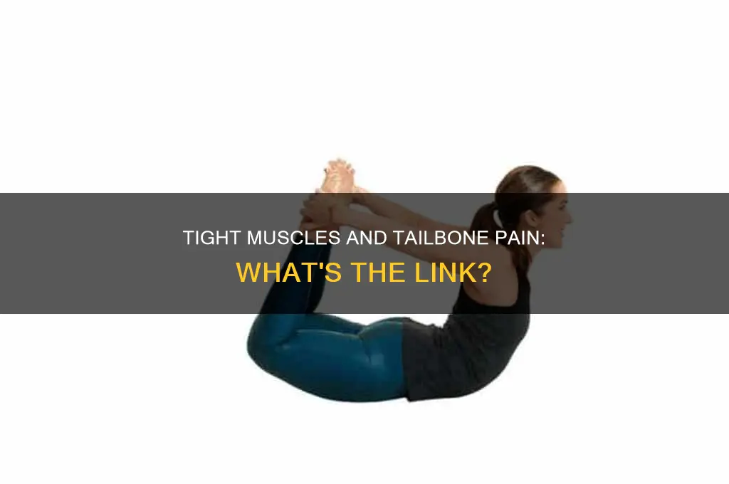 can tight muscles cause tailbone pain