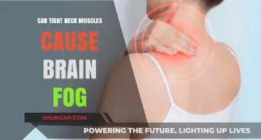 Neck Muscle Tension: A Surprising Cause of Brain Fog
