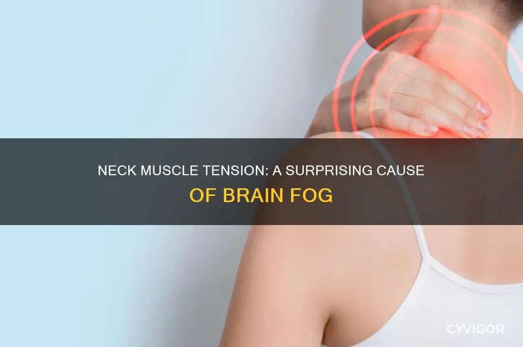 can tight neck muscles cause brain fog