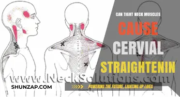 Tight Neck Muscles: A Cause of Cervical Straightening?