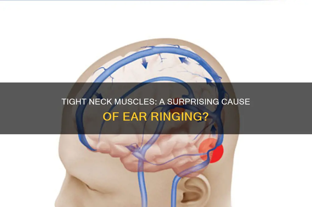 can tight neck muscles cause ear ringing