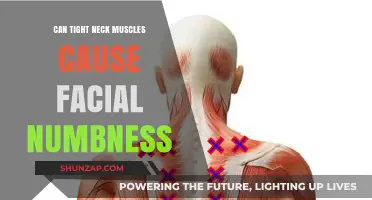 Tight Neck Muscles: A Surprising Cause of Facial Numbness?