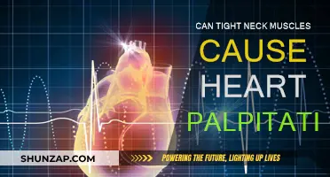 Neck Tension and Heart Palpitations: Is There a Link?