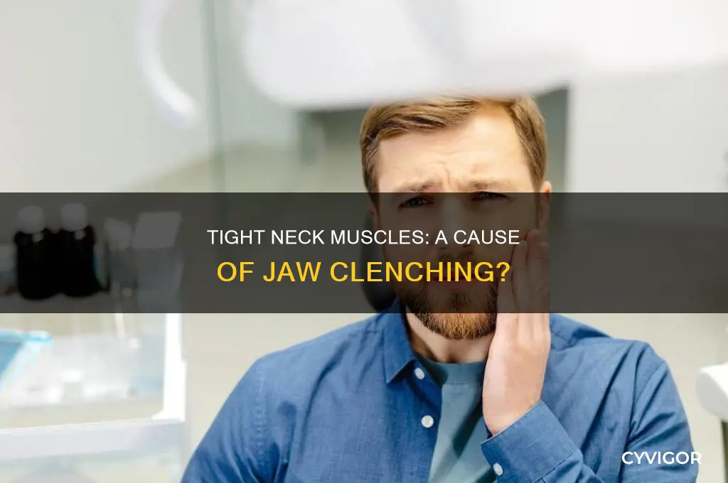 can tight neck muscles cause jaw clenching