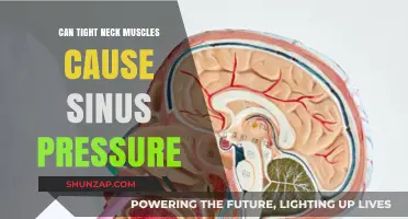 Tight Neck Muscles: Sinus Pressure Culprit or Coincidence?