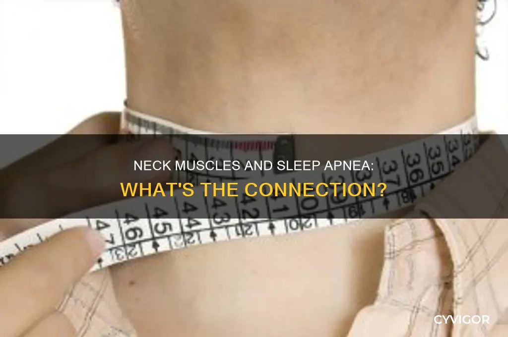 can tight neck muscles cause sleep apnea