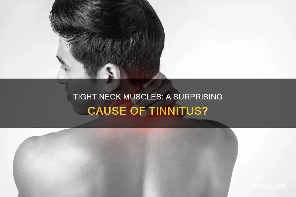 can tight neck muscles cause tinnitus