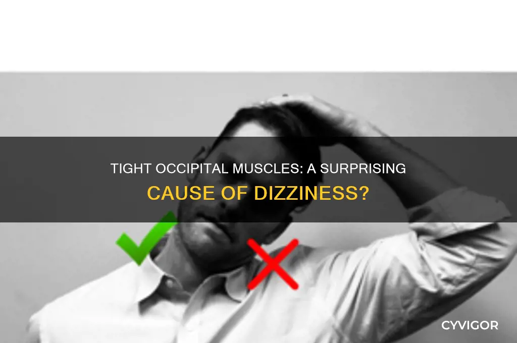 can tight occipital muscles cause dizziness