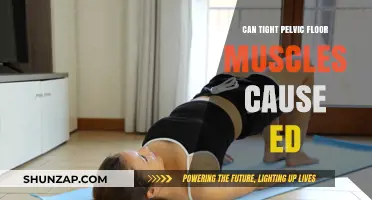 Pelvic Floor Muscles and ED: What's the Link?